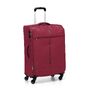 Средний чемодан Roncato Ironik 415122/09